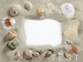 border frame summer beach shell blank copy space